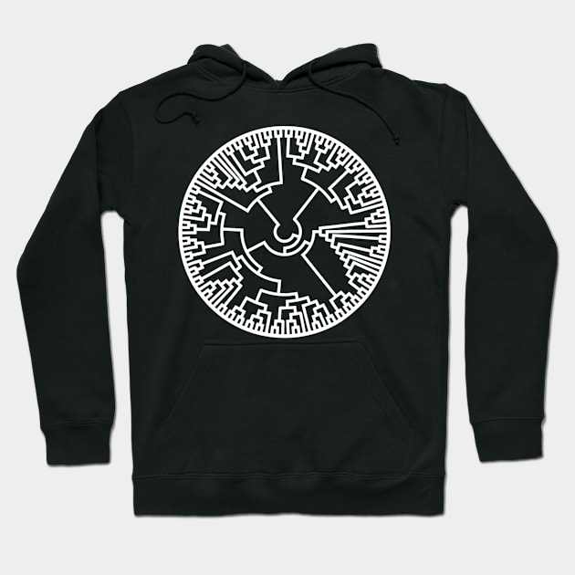 Biologist Phylogenetic Tree Evolution Teacher Biology Hoodie by agustinbosman